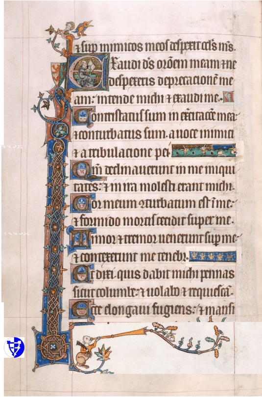 silver-brooch-layout-guide